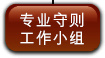 专业守则工作小组